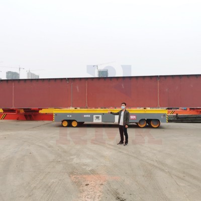 50 tonų sunkios apkrovos pernešėjas